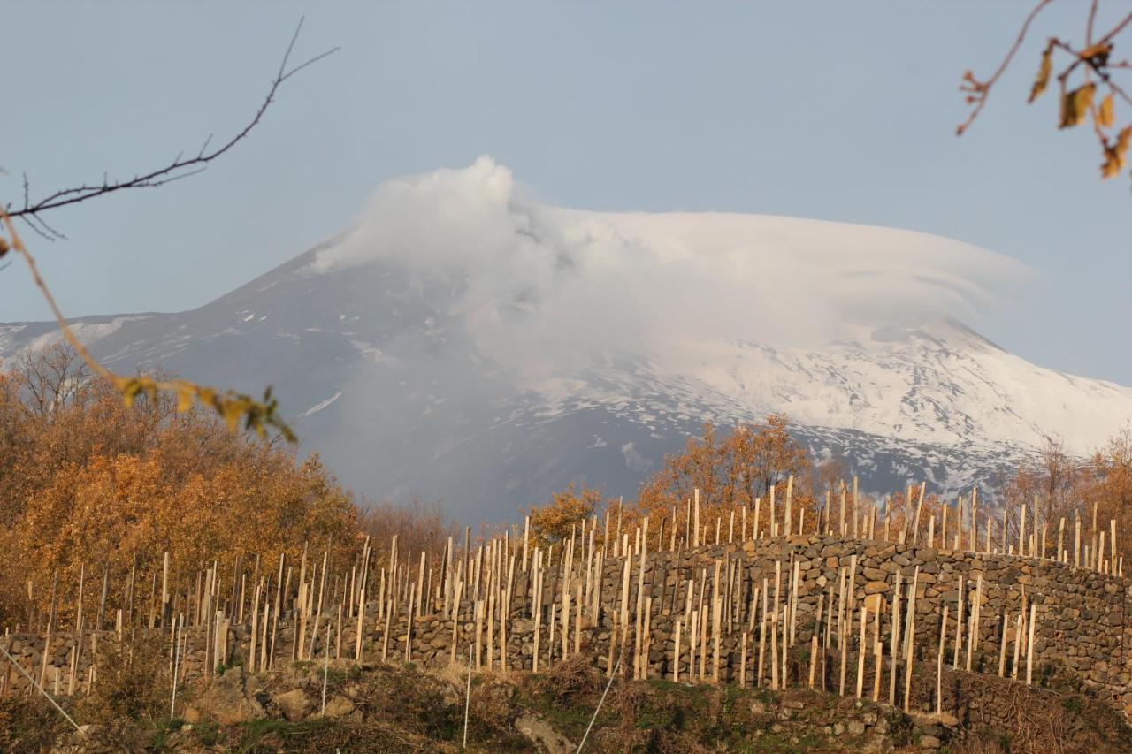 Le Case Del Merlo Turismo Rurale Мило Экстерьер фото